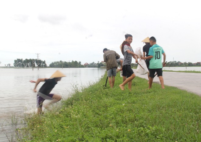 Người dân Nghệ An bơi trong lũ đánh cá, săn bắt chuột làm thức ăn 6