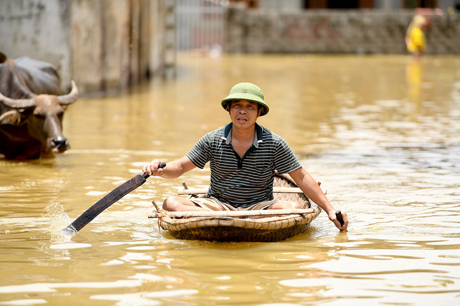 Sau 1 tuần mưa, người Hà Nội dùng thuyền tự chế, bơi trong dòng nước ngập ao bèo về nhà - Ảnh 6. Sau 1 tuần mưa, người Hà Nội dùng thuyền tự chế, bơi trong dòng nước ngập ao bèo về nhà 5