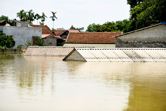 Sau 1 tuần mưa, người Hà Nội dùng thuyền tự chế, bơi trong dòng nước ngập ao bèo về nhà - Ảnh 2.