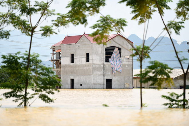 Sau 1 tuần mưa, người Hà Nội dùng thuyền tự chế, bơi trong dòng nước ngập ao bèo về nhà - Ảnh 27. Sau 1 tuần mưa, người Hà Nội dùng thuyền tự chế, bơi trong dòng nước ngập ao bèo về nhà 26