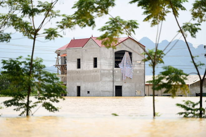 Sau 1 tuần mưa, người Hà Nội dùng thuyền tự chế, bơi trong dòng nước ngập ao bèo về nhà - Ảnh 27.