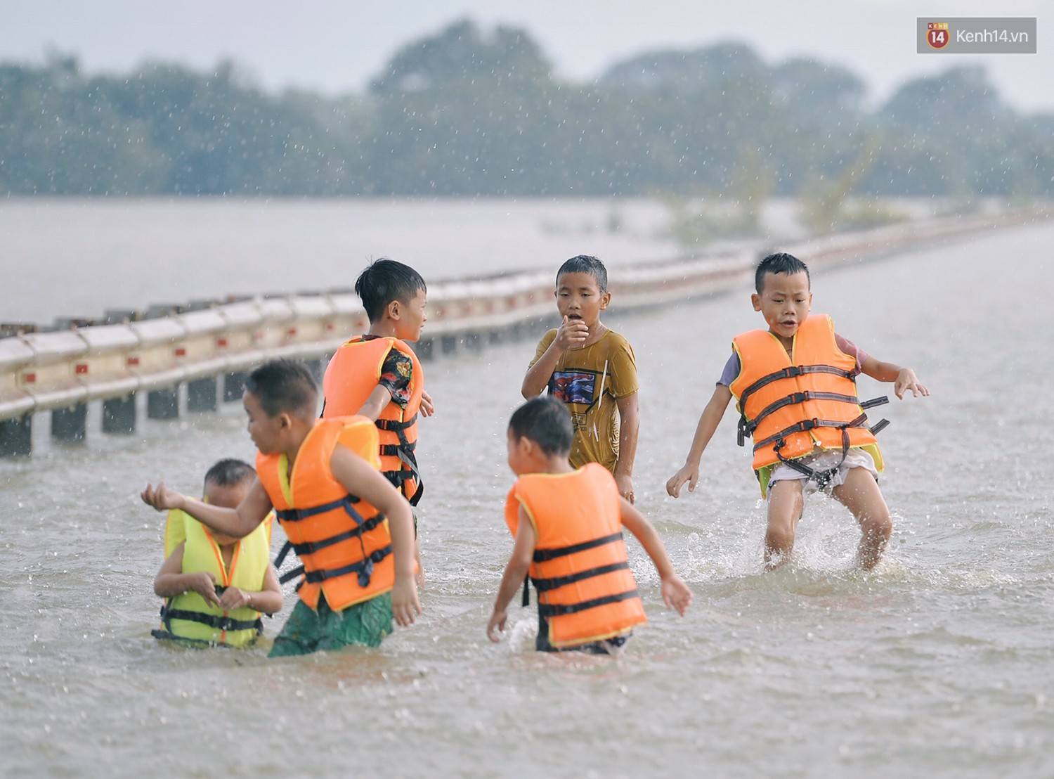 Chùm ảnh: Người lớn, trẻ nhỏ Hà Nội mặc áo phao ùa ra đường tỉnh lộ bơi lội, đánh cá sau nhiều ngày mưa ngập - Ảnh 4.