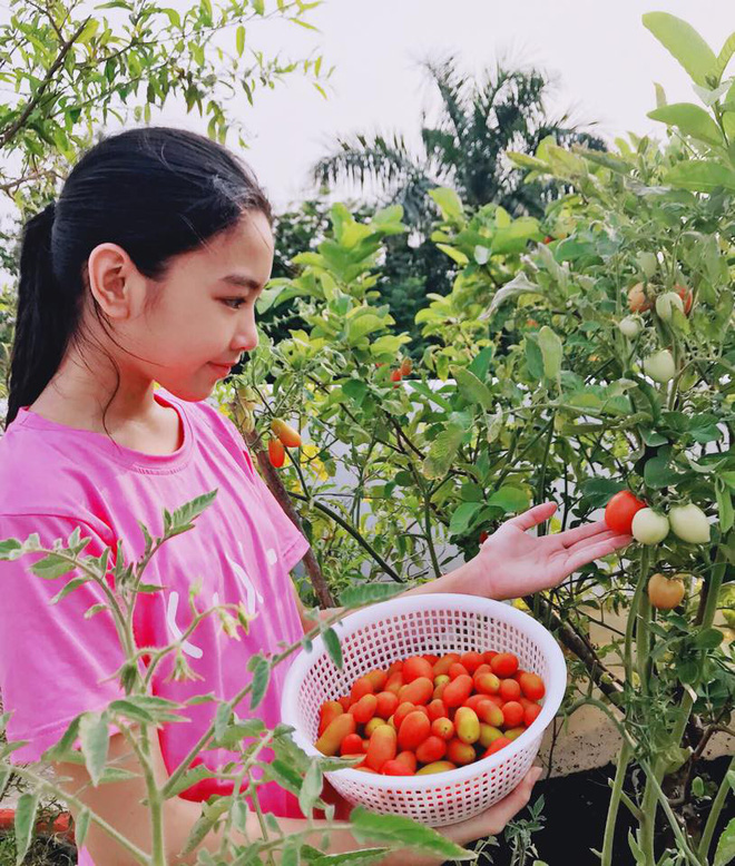 Con gái rượu của MC Quyền Linh: Càng lớn càng xinh, được dự đoán là hoa hậu tương lai - Ảnh 14.