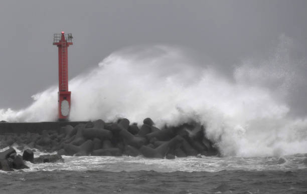 Vừa hết lũ lụt, Nhật Bản lại tiếp tục phải hứng chịu một trận bão lớn 1