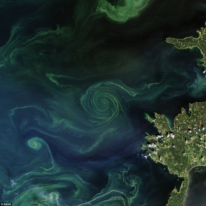 NASA phát hiện vòng xoáy khổng lồ trên biển Baltic - tưởnag bình thường nhưng hóa ra là 'vùng tử thần' 2
