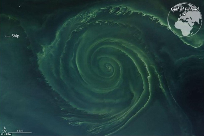 NASA phát hiện vòng xoáy khổng lồ trên biển Baltic - tưởnag bình thường nhưng hóa ra là 'vùng tử thần' 1