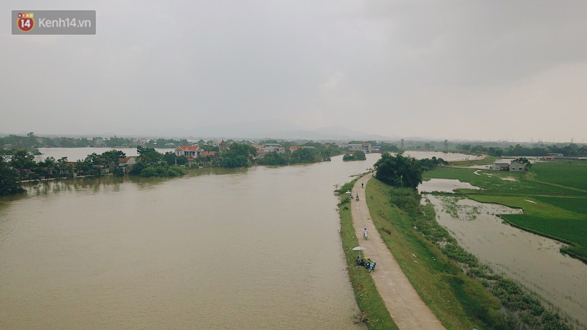 Những ngày lênh đênh ở Chương Mỹ: Trâu bò lặn ngụp, vịt trèo lên những mái nhà khi nước dâng đến tận nóc - Ảnh 9.