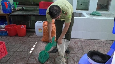 Nhiều thú rừng quý hiếm trong quán nhậu ở Đồng Nai được giải cứu 2