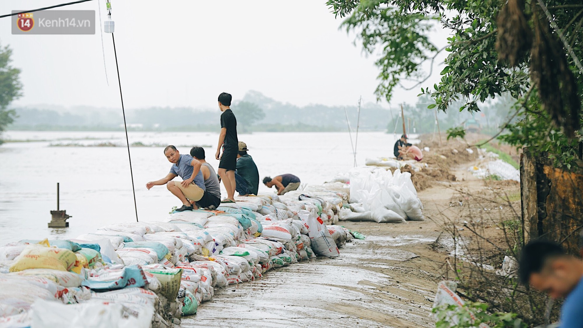 Những ngày lênh đênh ở Chương Mỹ: Trâu bò lặn ngụp, vịt trèo lên những mái nhà khi nước dâng đến tận nóc - Ảnh 8. Những ngày lênh đênh ở Chương Mỹ: Trâu bò lặn ngụp, vịt trèo lên những mái nhà khi nước dâng đến tận nóc 11