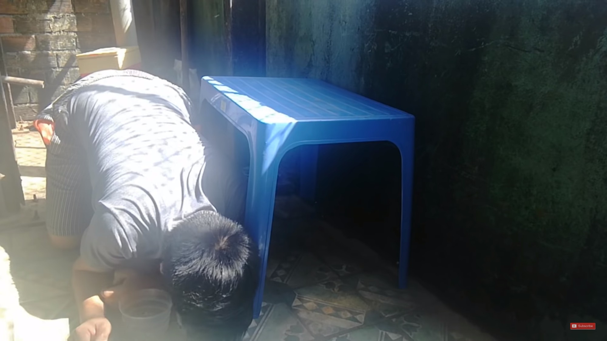 Xuất hiện nhiều thanh thiếu niên chui vào chuồng, ăn thức ăn động vật để quay clip đăng Youtube kiếm view - Ảnh 4.