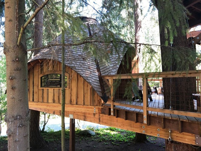 Chiêm ngưỡng ngôi nhà trên cây mà Microsoft làm cho nhân viên: Gặp gỡ, làm việc hay tắm nắng đều được 2