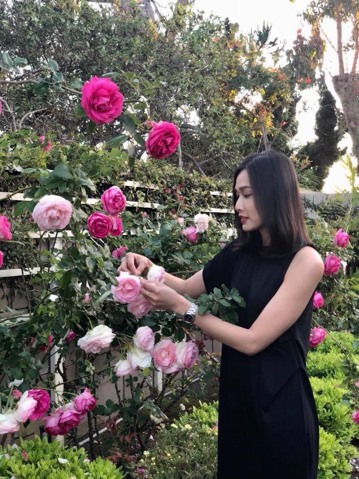 Khu vườn ngọt ngào với hoa hồng và cây trái sai trĩu trên đất Mỹ của Hoa hậu Dương Mỹ Linh - Ảnh 8.