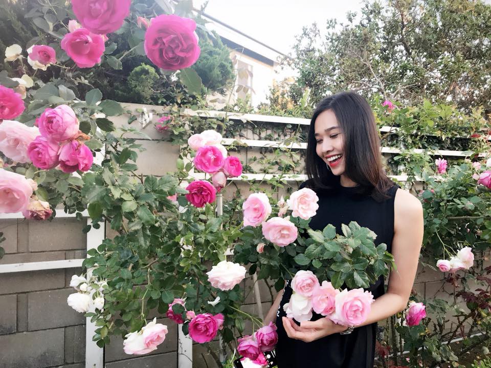 Khu vườn ngọt ngào với hoa hồng và cây trái sai trĩu trên đất Mỹ của Hoa hậu Dương Mỹ Linh - Ảnh 7.