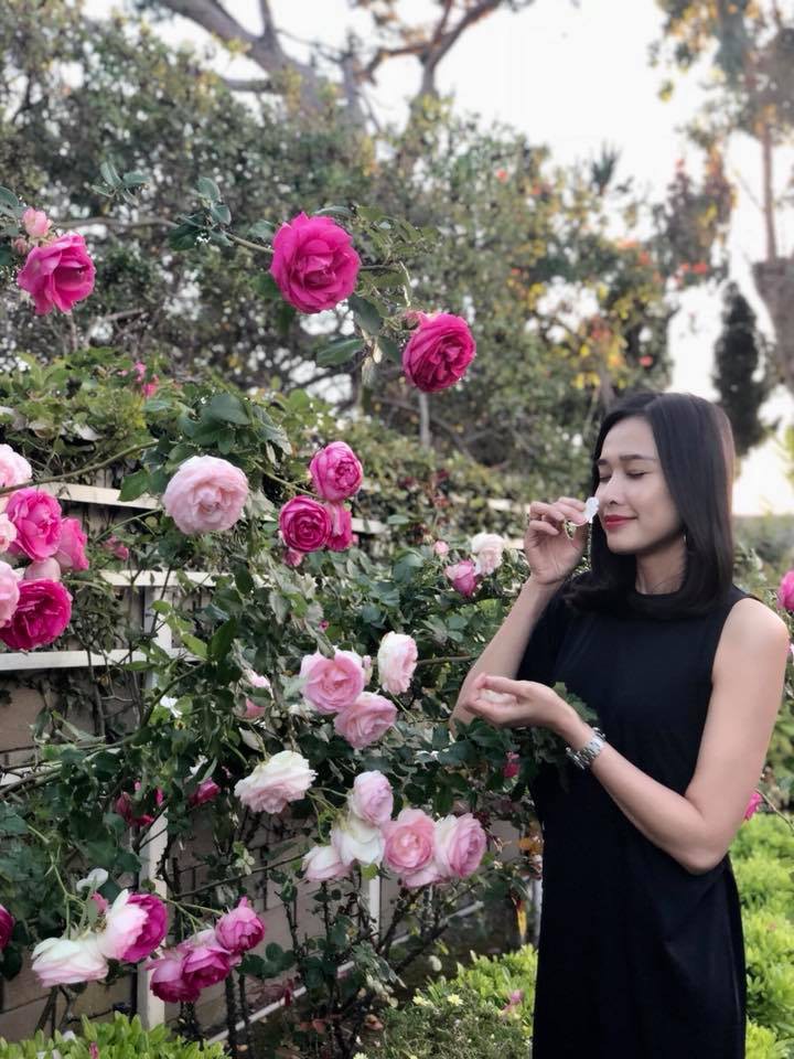 Khu vườn ngọt ngào với hoa hồng và cây trái sai trĩu trên đất Mỹ của Hoa hậu Dương Mỹ Linh - Ảnh 6.