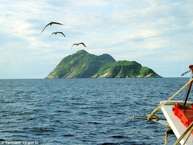 Hòn đảo nguy hiểm bậc nhất thế giới, cấm con người đặt chân lên tại Brazil: 1 mét vuông 5 con rắn 1