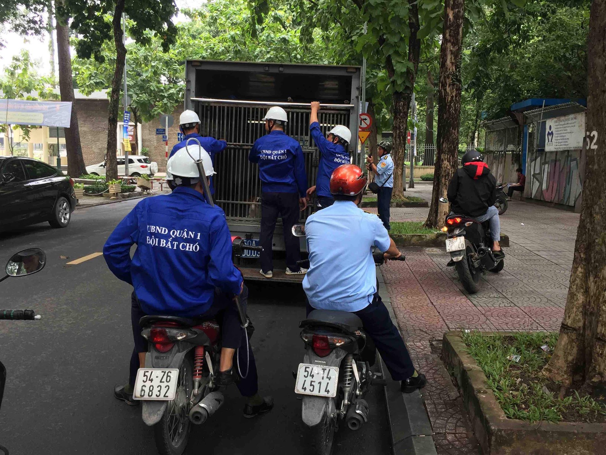 Trung tâm Sài Gòn ra quân bắt chó thả rông: 5 con chó bị tóm cổ, chủ nhân bị phạt ít nhất 1,4 triệu đồng - Ảnh 1.