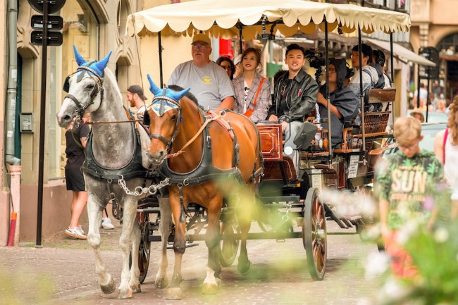 Bộ ba Tiểu Yến Tử - Ngũ A Ca - Hoàng A Mã ngồi xe ngựa dạo đường phố Pháp, gợi nhớ cả bầu trời tuổi thơ - Ảnh 4.
