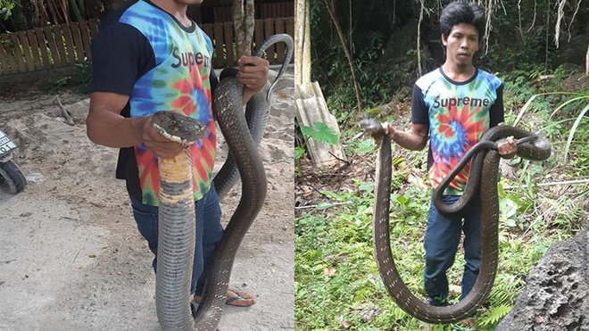 24h qua ảnh: Người dân bắt được rắn hổ mang khổng lồ ở Thái Lan - Ảnh 4.