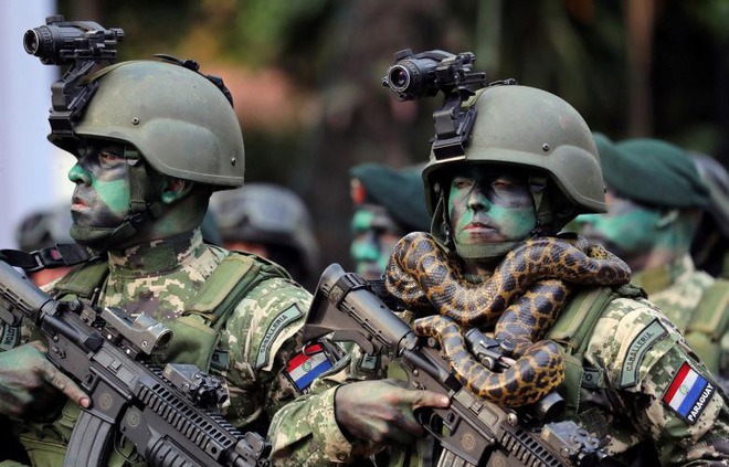 24h qua ảnh: Lính đặc nhiệm Paraguay đeo trăn quanh cổ trong lễ diễu binh - Ảnh 2.