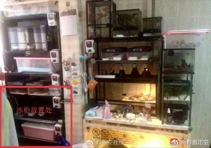 Vụ người mẫu Trung Quốc bị giết chết và giấu xác trong tủ lạnh: Tòa tuyên án tử hình người chồng dã man - Ảnh 3. Vụ người mẫu Trung Quốc bị sát hại và giấu xác trong tủ lạnh: Tòa tuyên án tử hình người chồng dã man 3