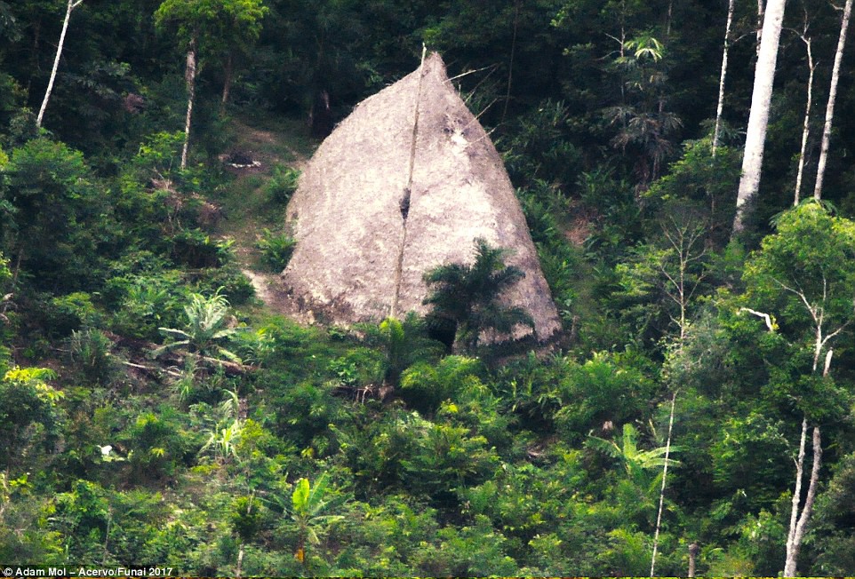 Bộ tộc bí ẩn tại Amazon lần đầu tiên được ghi hình, biệt lập xuyên suốt lịch sử con người - Ảnh 2.