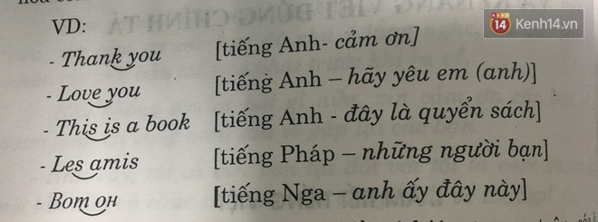 Đọc bài này, bạn sẽ trả lời được câu hỏi: Vì sao Tiếng Việt đơn âm mà lại phải chia thành từng ô vuông làm gì cho phức tạp? - Ảnh 4.