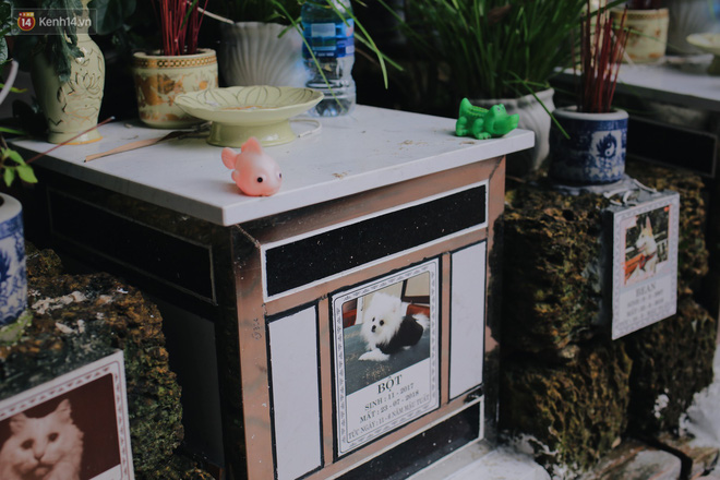 Gặp người đàn ông xây 'resort chó mèo' kỳ lạ nhất Hà Nội: Tổ chức đám tang và thờ cúng cho hàng trăm mộ phần thú cưng xấu số 7