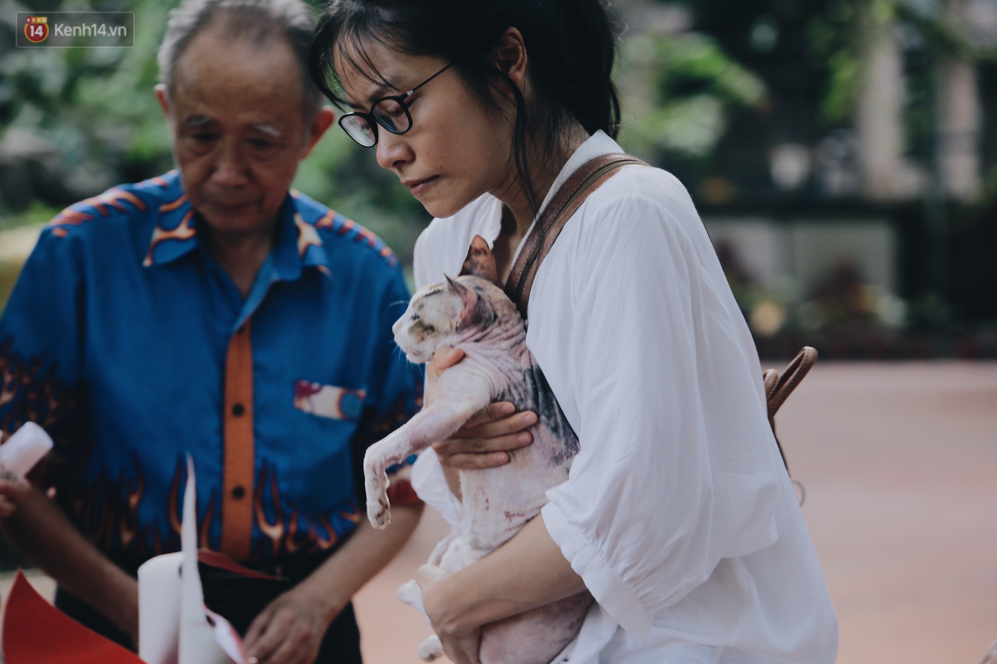 Gặp người đàn ông xây 'resort chó mèo' kỳ lạ nhất Hà Nội: Tổ chức đám tang và thờ cúng cho hàng trăm mộ phần thú cưng xấu số 14