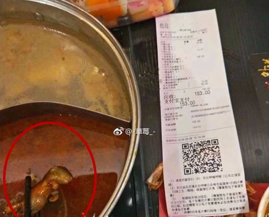 Thai phụ ăn phải nồi lẩu có xác chuột chết, nhà hàng gây phẫn nộ khi đòi cho tiền để phá thai nếu đứa trẻ trong bụng bị ảnh hưởng - Ảnh 1.