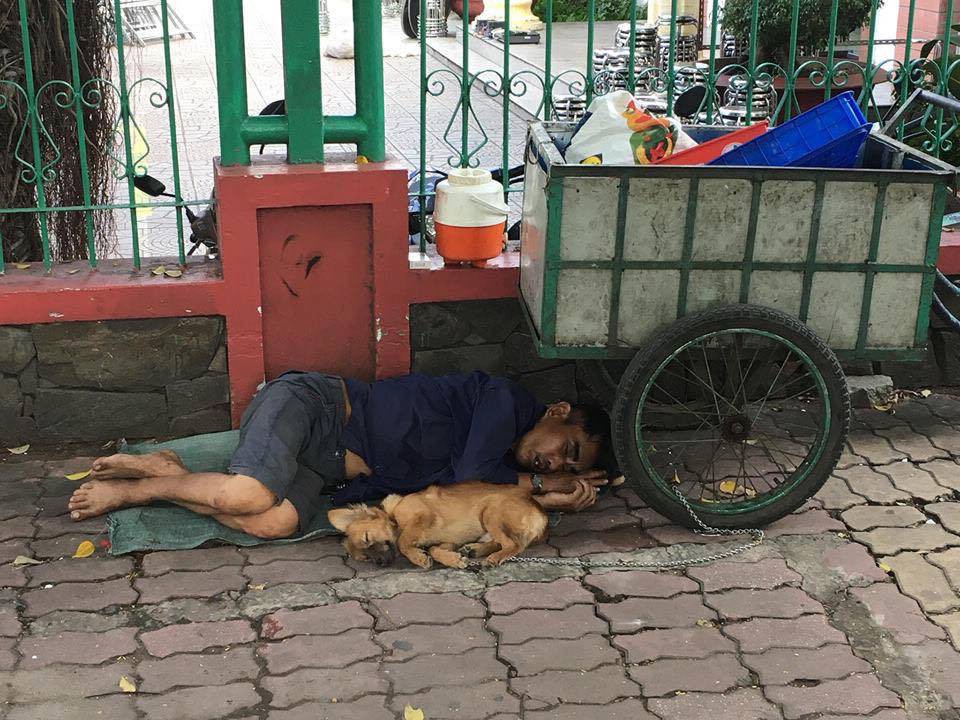 Nghẹn ngào hình ảnh chú chó nằm ngủ ngon lành bên người chủ nghèo trên vỉa hè sau những giờ mưu sinh vất vả - Ảnh 1.