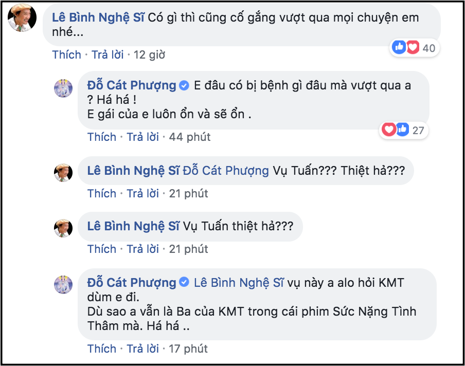 Cát Phượng lên tiếng khi bị tố là người đứng sau giật dây chuyện tình Kiều Minh Tuấn và An Nguy - Ảnh 2.