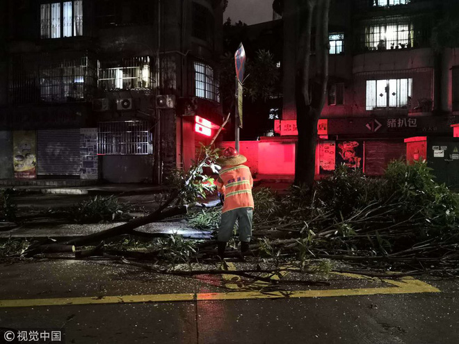 TQ: Vua bão Mangkhut quật vỡ cửa sổ, đánh bật gốc cây, làm thương vong hàng trăm người - Ảnh 5.