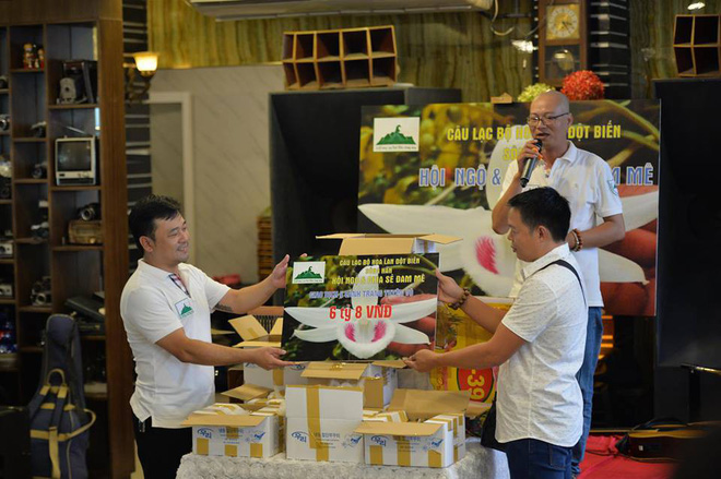 Cận cảnh gốc lan Giã Hạc 5 cánh trắng có giá gần 7 tỉ đồng ở Đà Nẵng - Ảnh 8.