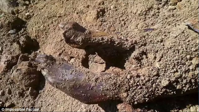 Danh tính bí ẩn của xác chết hơn 150 năm tuổi trong quan tài sắt được hé lộ - Ảnh 1.