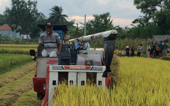 Trưởng công an bị Phó Bí thư xã đấm: Tôi tủi thân nên đã khóc từ sáng đến trưa - Ảnh 2. Trưởng công an bị Phó Bí thư xã đấm: “Từ hôm đó đến nay, đêm nào tôi cũng khóc' 1