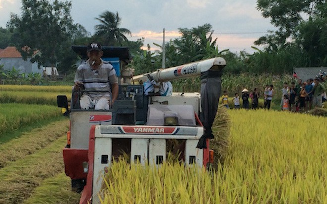 Trưởng công an bị Phó Bí thư xã đấm: Tôi tủi thân nên đã khóc từ sáng đến trưa - Ảnh 2.