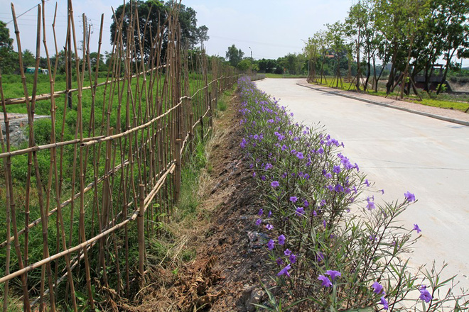 Những hình ảnh in dấu cố Tổng Bí thư Đỗ Mười tại quê nhà Đông Mỹ - Ảnh 22.