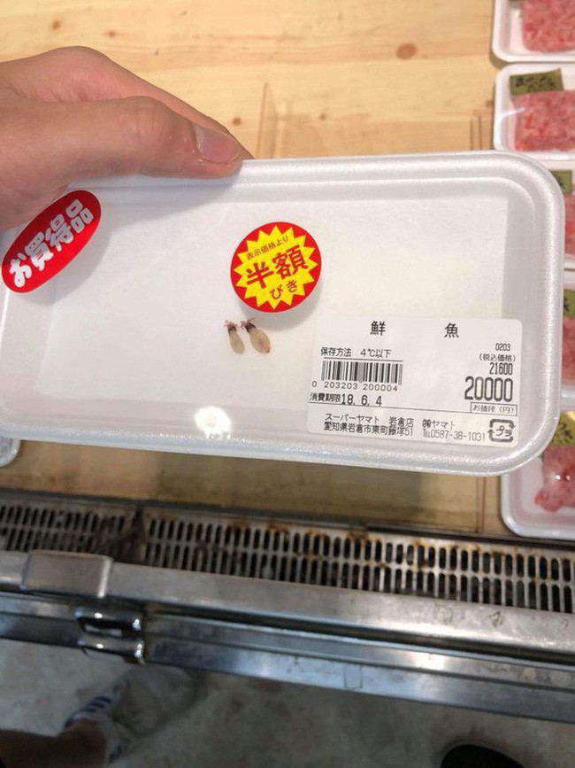 Mua mực quảng cáo to bằng bàn tay, anh chàng nướng xong thì mực teo bằng hạt đậu, mất luôn hứng nhậu - Ảnh 6. Mua mực quảng cáo to bằng bàn tay, anh chàng nướng xong thì mực teo bằng hạt đậu, mất luôn hứng nhậu 6