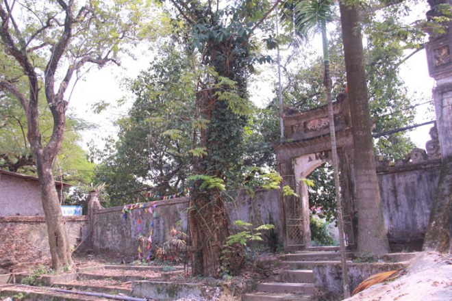 Đại gia bỏ 20,5 tỷ mua gỗ sưa ở Hà Nội: Sau 8 năm, gỗ bán hết còn tiền vẫn bị phong tỏa - Ảnh 1. 'Đại gia' bỏ 20,5 tỷ mua gỗ sưa ở Hà Nội: Sau 8 năm, gỗ bán hết còn tiền vẫn bị phong tỏa 2