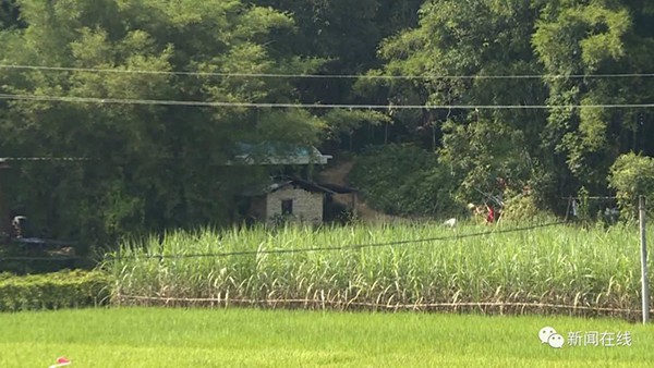 Đau lòng phát hiện thi thể bé gái 10 tuổi bị chôn dưới đám cỏ, hung thủ lại là người không ai ngờ tới 3 Đau lòng phát hiện thi thể bé gái 10 tuổi bị chôn dưới đám cỏ, hung thủ lại là người không ai ngờ tới 3