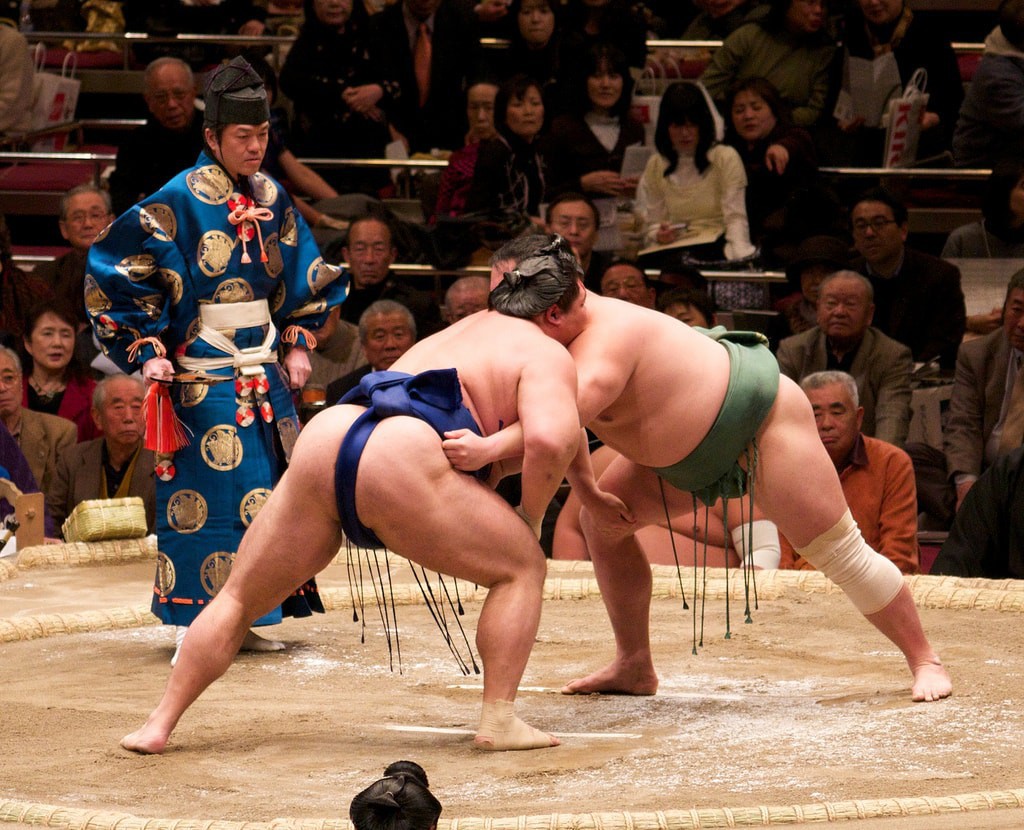 Kết quả hình ảnh cho sumo