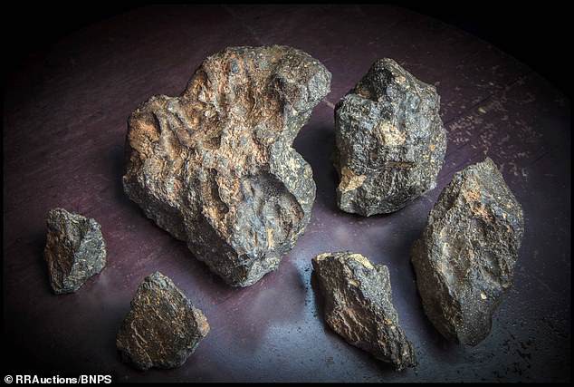 Viên đá Mặt Trăng 5,5 kg, trị giá hơn nửa triệu USD được đưa về Việt Nam 2