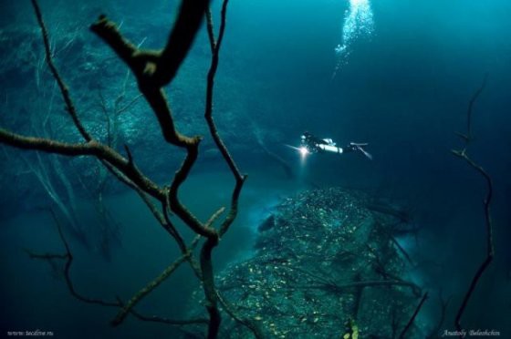 Những thứ kì lạ đến không tưởng mà người ta tìm thấy dưới đáy đại dương - Ảnh 5.