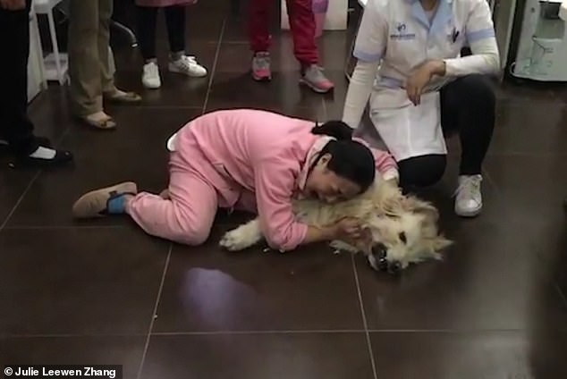 Trung Quốc: Cô gái trẻ ôm chó gào khóc thảm thiết vì vừa đưa từ Mỹ về đã bị hàng xóm đánh bả chết - Ảnh 2.