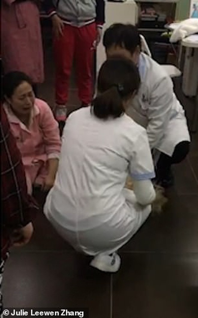 Trung Quốc: Cô gái trẻ ôm chó gào khóc thảm thiết vì vừa đưa từ Mỹ về đã bị hàng xóm đánh bả chết - Ảnh 3.