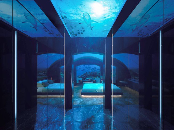 Bên trong khách sạn dưới biển đầu tiên trên thế giới, nơi bạn có thể ngủ cạnh cá mập với chi phí 1 tỷ/1 đêm - Ảnh 6.