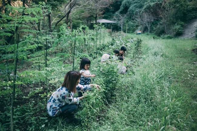 Ngôi nhà yên bình ẩn mình bên núi luôn rộn ràng tiếng cười của người chồng lấy hai vợ và có 6 đứa con ở Nhật 6