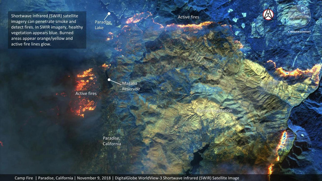 Quy mô khủng khiếp của thảm họa cháy rừng California nhìn từ vệ tinh - Ảnh 2.