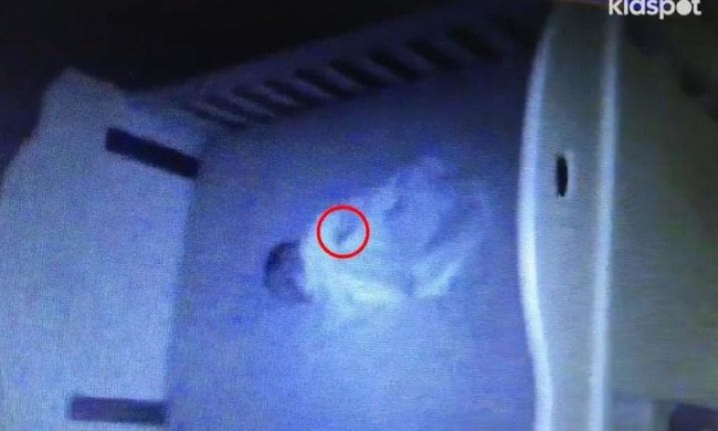 Theo dõi con ngủ qua video, mẹ phát hiện chấm đen lớn đang di chuyển trên người bé - Ảnh 2.