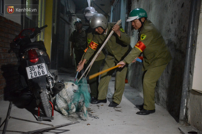Hà Nội: Người đàn ông buồn rầu khi con chó của gia đình bị đội bắt chó thả rông cho vào lồng sắt, đưa về trụ sở phường 6